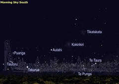 Māori Sternenbilder