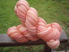 NDS BFL peach