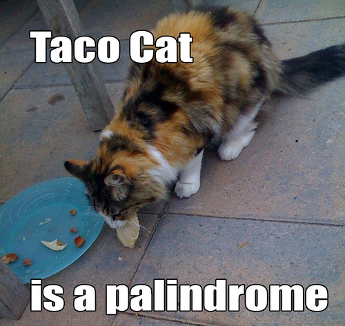 Taco Cat Is a Palindrome