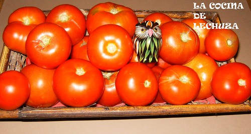 Tomates cesta