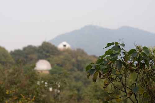 Purple Mountain Observatory View
