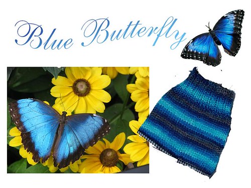 Promo Blue Butterfly par vous 