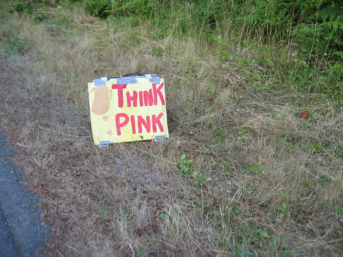 Ah!  Pink lemonade stand ahead!