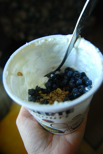 Yougurt, granola, blueberries.