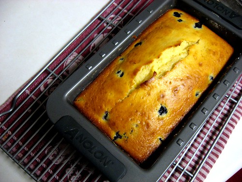  "Dad-approved" Blueberry Lemon Loaf - Cool in the pan
