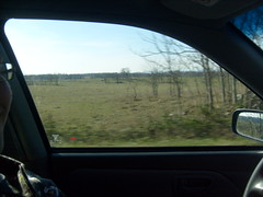 Driving Past a Field