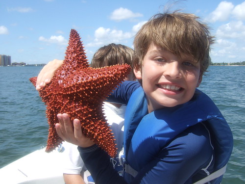 Matthew with cushion starfish