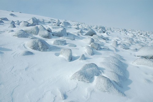 Snow topped boulders
