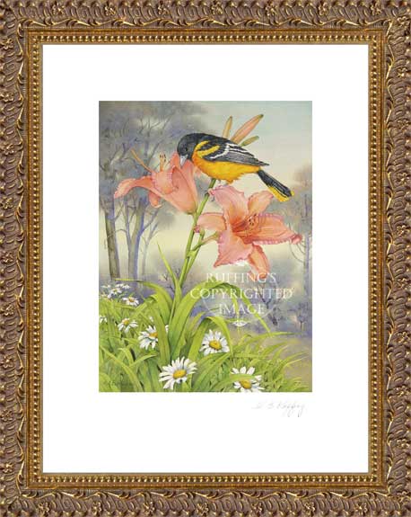 "Oriole and Daylily" AER21 by A E Ruffing Bird and Flower