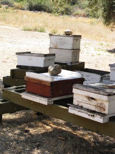 Tour of Bill's Bee Ranch