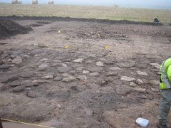 Street House Archaeological Dig