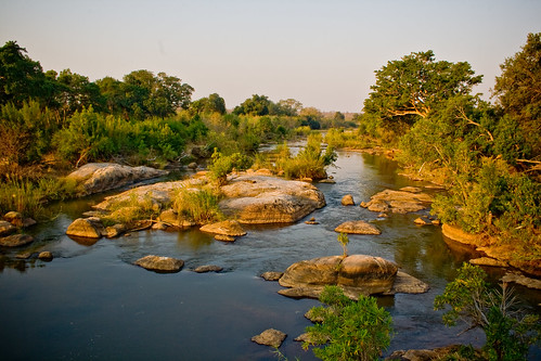 Landscape at Kruger