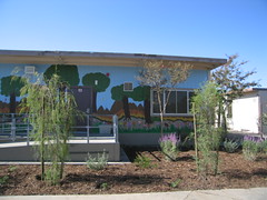 bungalow mural and garden