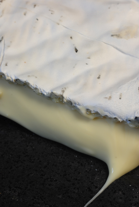 hunter valley cheese grape vine ashed brie© by Haalo