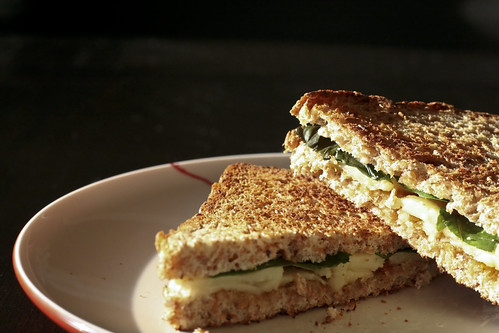 grown-up grilled cheese breakfast-style