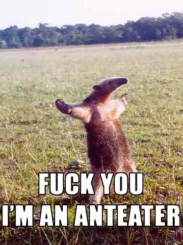 Fuck you, I'm an anteater