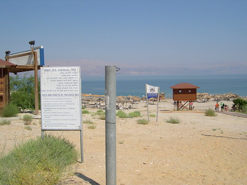 Dead Sea Instructions ©  upyernoz