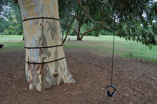 Eucalyptus sound installation