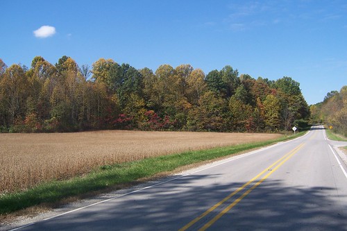 Fall on SR 42