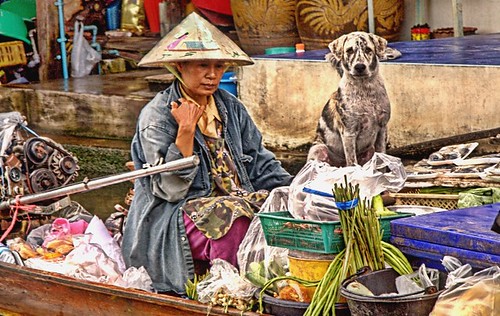 Klong vendor and dog, Bangkok