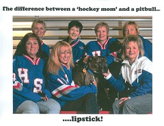 Hockey Moms 2
