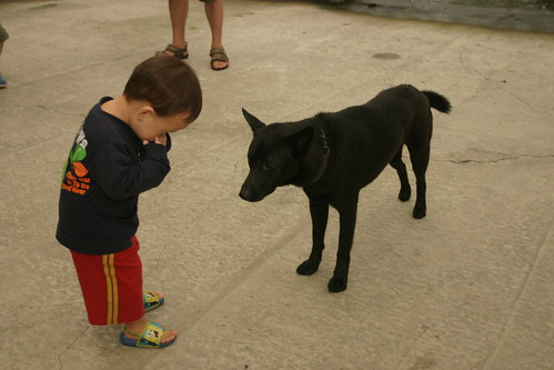 你拍攝的 三富花園農場:Min和小黑狗自我介紹。