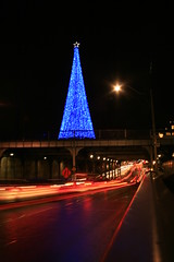 Blue Christmas Tree, Yonge and Summerhill, Toronto by Tony Lea