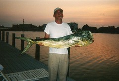 Jerry's Dolphin Fish from One of the Deep Sea Fishing Trips