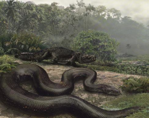 largest anaconda in world. World#39;s Largest Snake Ever