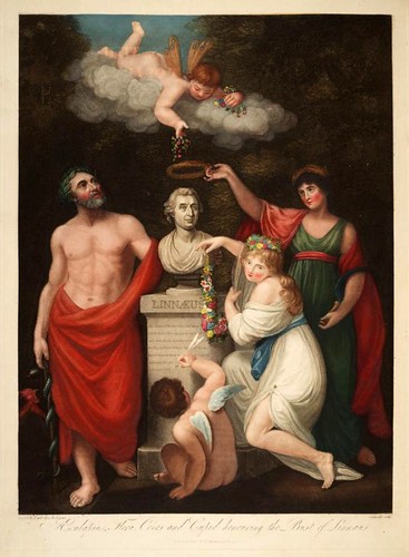 02a-Esculapio Ceres Flora y Cupido haciendo honor a Linneo