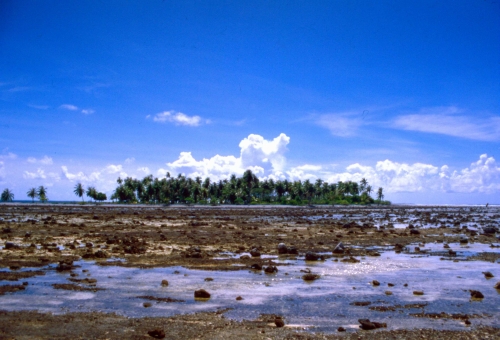 Mataiva Atoll - Raised Reef (WikiMedia Commons)
