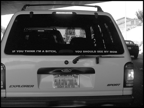Bitch (make sure you view it large so you can see what the license plate frame says too...) (by Brooke Bettencourt)