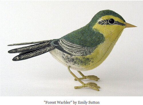 forest warbler