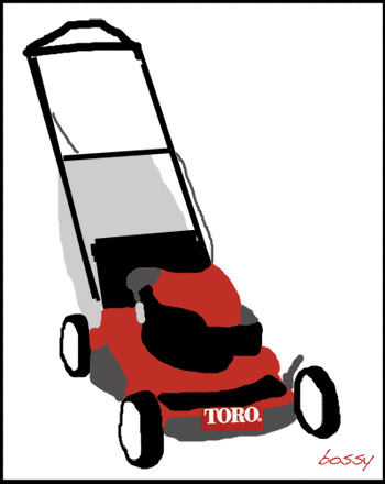toro-20066