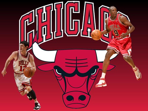 chicago bulls logo wallpaper. chicago bulls logo black