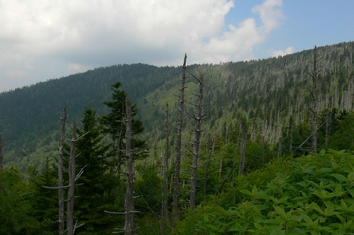Veiw from Clingmans Dome trail