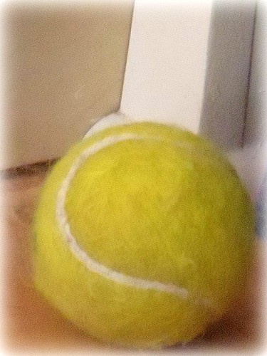 doesn't everyone need a picture of a tennis ball?