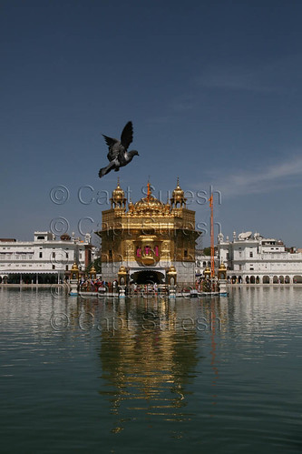 old golden temple wallpaper. Golden Temple - my most