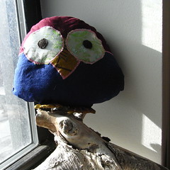 Xanthe's Owl