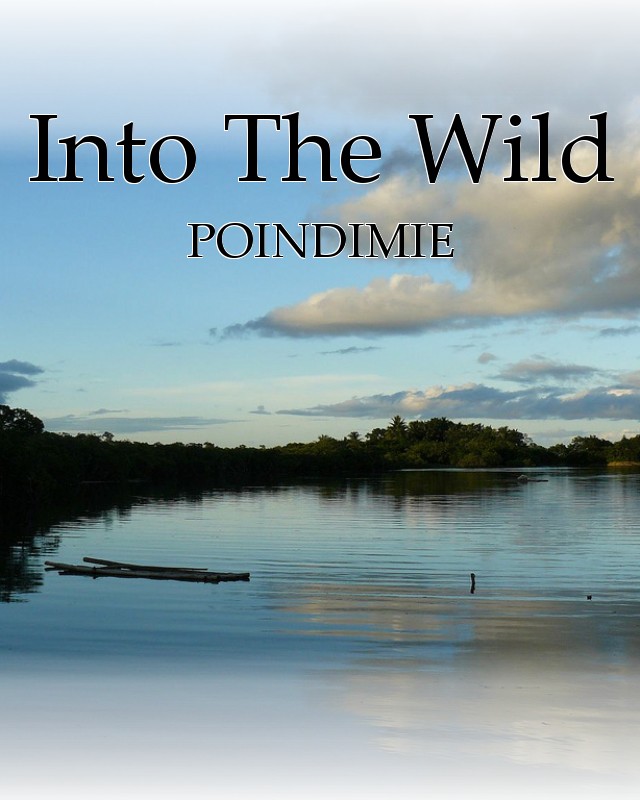 Into the Wild Poindimie