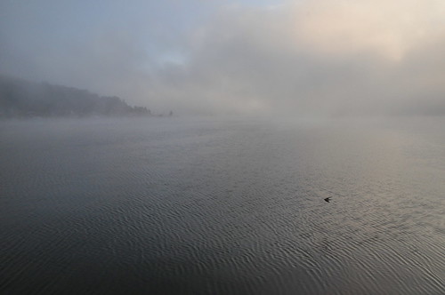 Lake Morning 