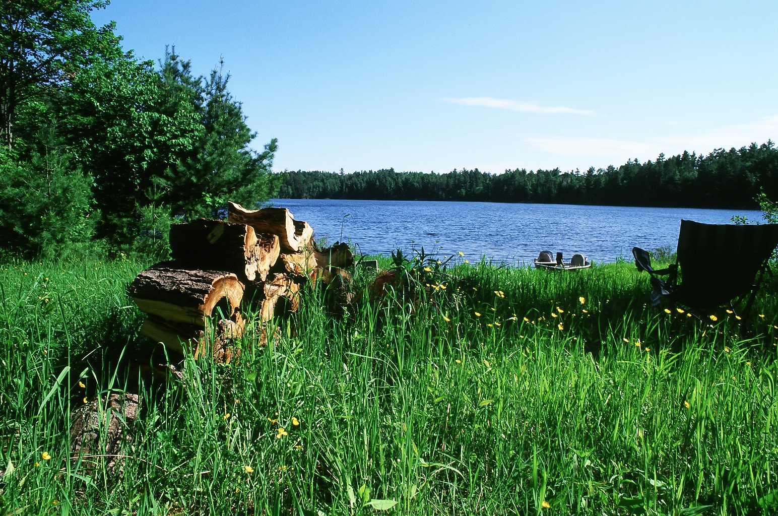 Scottish Deerhound Breeders Canada