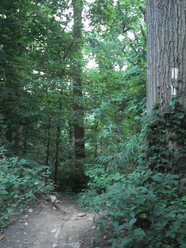 This is the trail to take from Hermit Lane to the Kelpius cave.