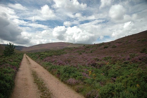 The path out to Mount Keen