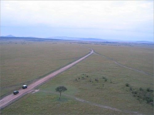你拍攝的 19 Masai Mara - Balloon Safari。