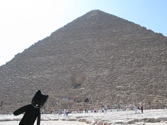A Travel Kitty at the Pyramids? Shecky puts Africa on the TKP map!