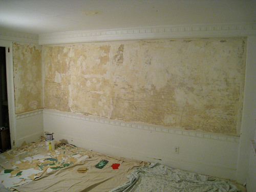 wallpaper paint. of wallpaper, paint,