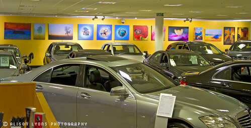 Mercedes Gallery by alison lyons photography