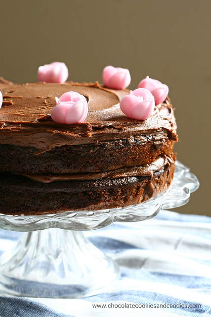 light chocolate cake1