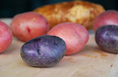 raw red, white, and blue potatoes
